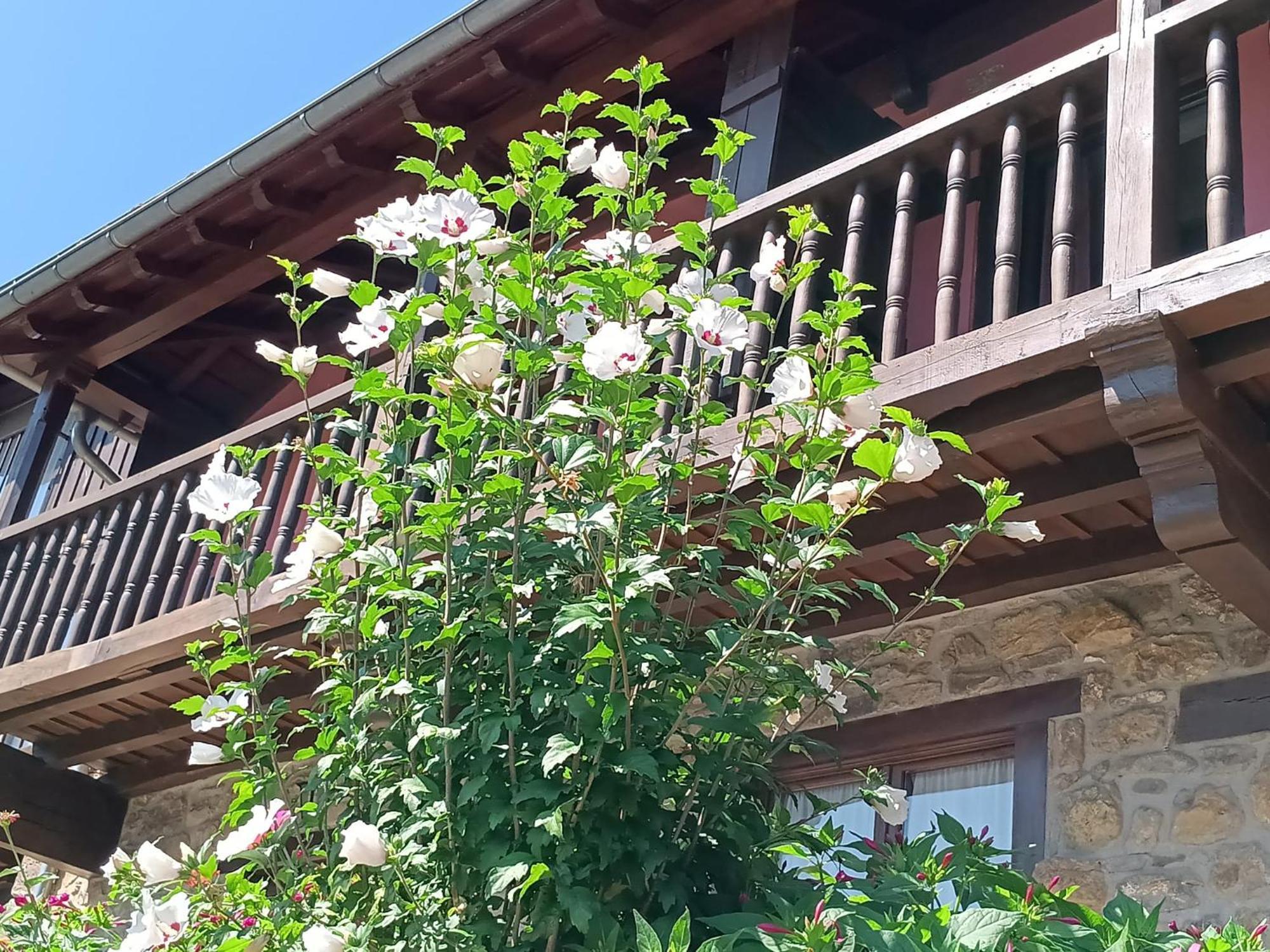 Apartamentos Calm & Nature - Adults Only Cabezon de Liebana Exterior photo