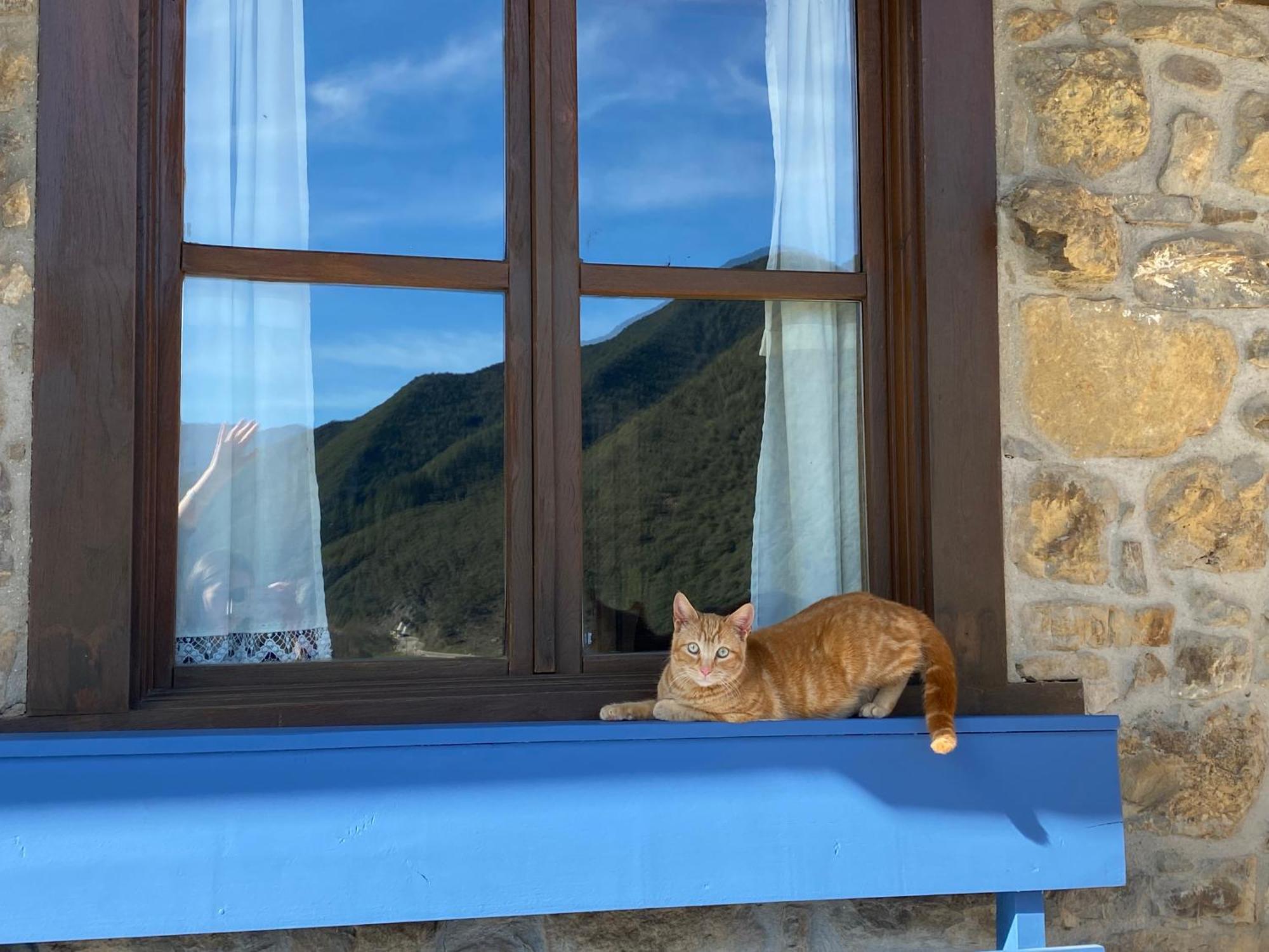 Apartamentos Calm & Nature - Adults Only Cabezon de Liebana Exterior photo