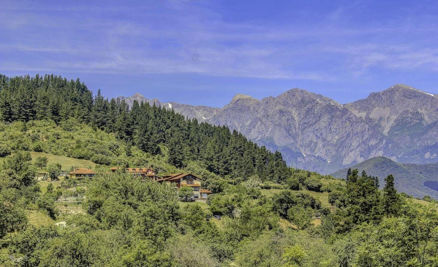 Apartamentos Calm & Nature - Adults Only Cabezon de Liebana Exterior photo