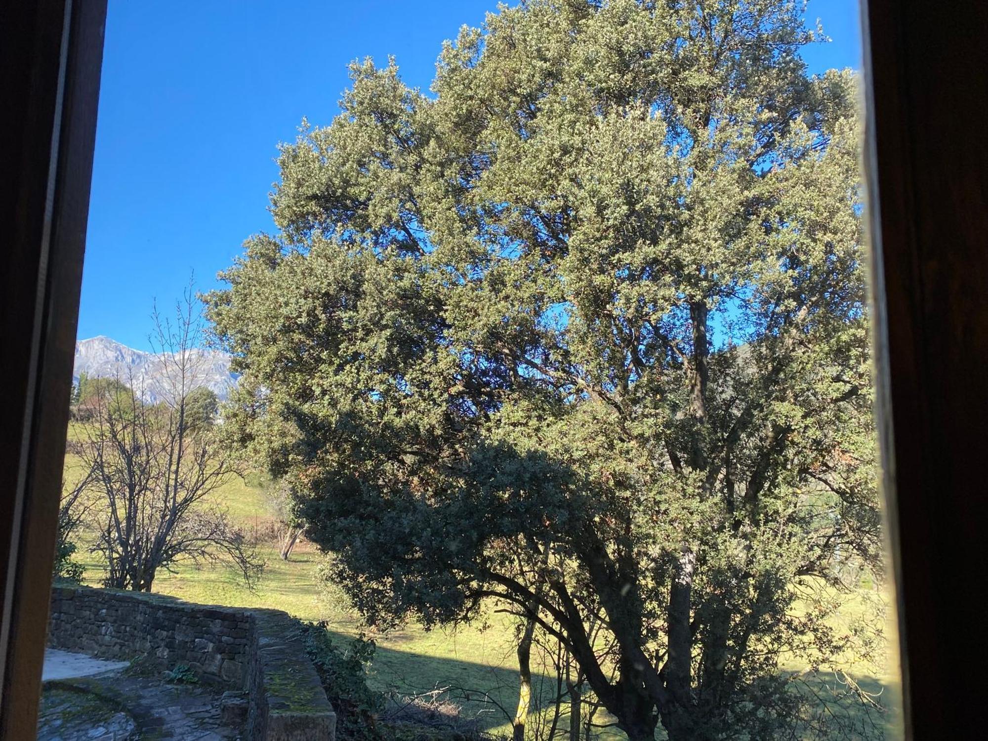 Apartamentos Calm & Nature - Adults Only Cabezon de Liebana Exterior photo