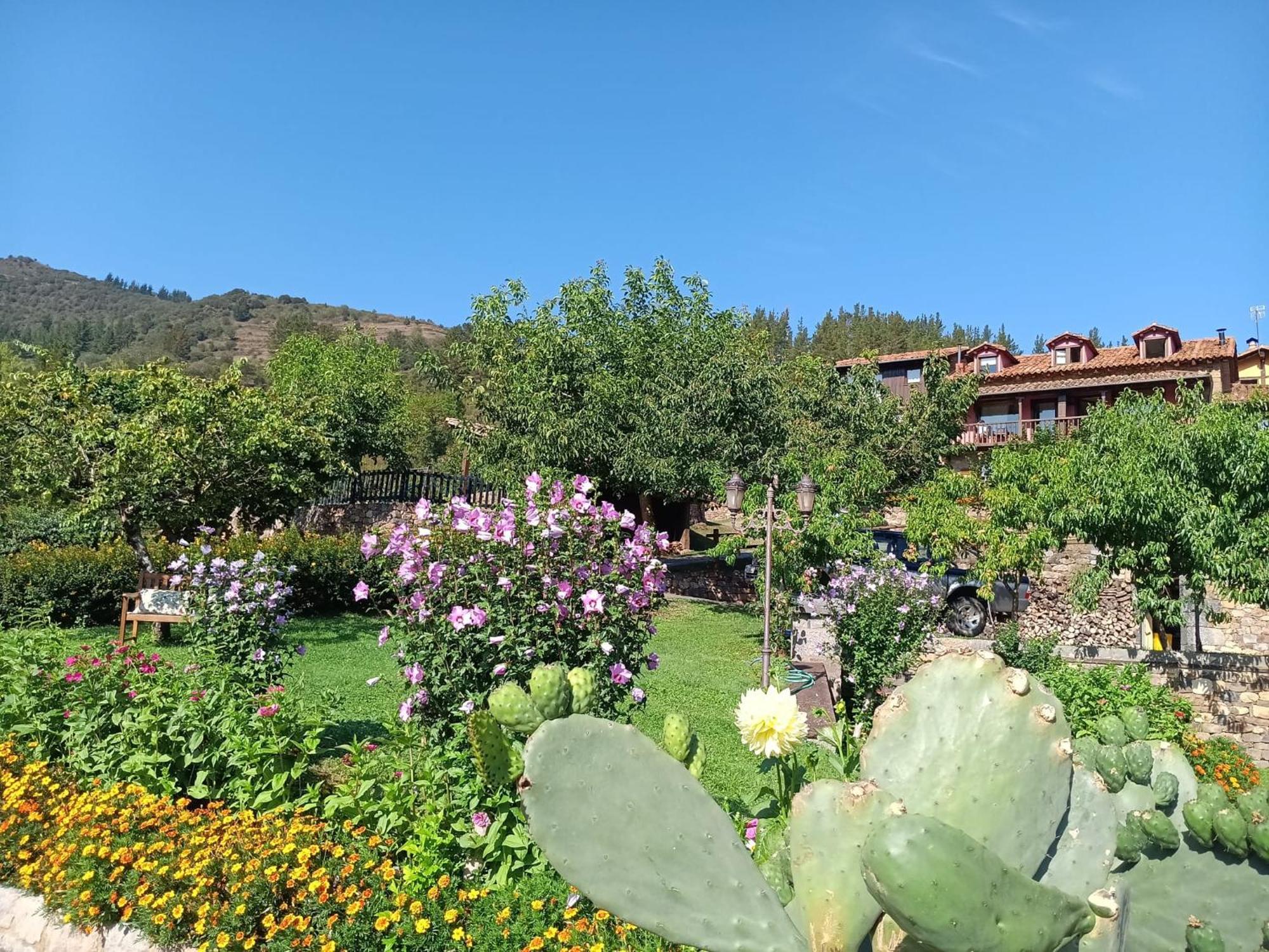 Apartamentos Calm & Nature - Adults Only Cabezon de Liebana Exterior photo